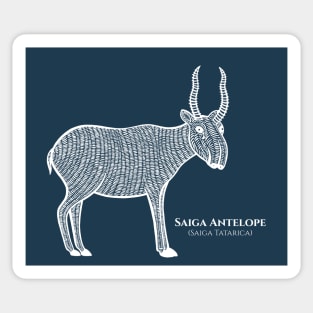 Saiga Antelope with Common and Scientific Name - white animal on dark blue Sticker